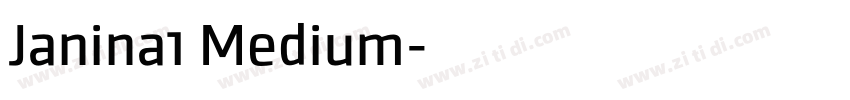 Janina1 Medium字体转换